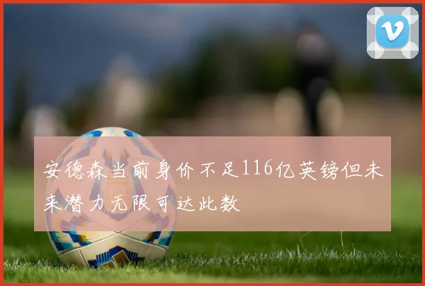 安德森当前身价不足116亿英镑但未来潜力无限可达此数