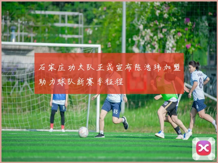石家庄功夫队正式宣布陈浩玮加盟助力球队新赛季征程
